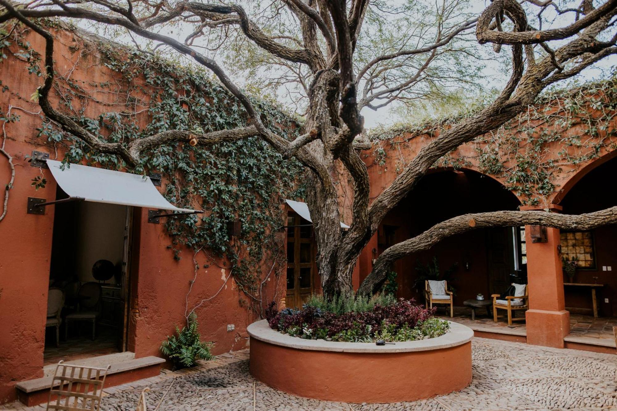 Hotel Casa De Quino Viborillas Exteriör bild